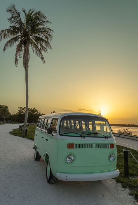 Darla the VW bus parked by a palm tree at sunset