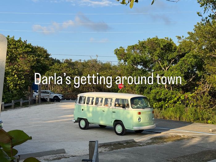 Darla the VW bus driving around town