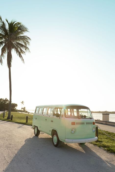 Darla the VW bus at sunrise with a palm tree silhouette